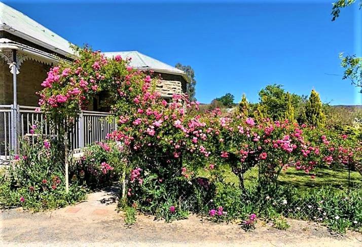 Jack Of The Karoo Villa Sutherland Bagian luar foto